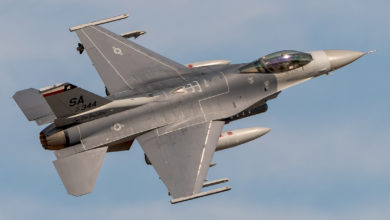 F-16 Fighting Falcon