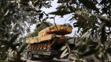 Turkish tank through olive trees