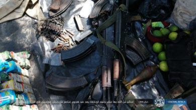 Islamic State in Mozambique