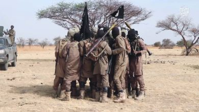 Islamic State militants in Nigeria