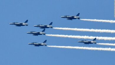 Aerial performance of Japan's Self-Defense Force