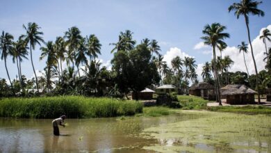 File photo of Palma, Mozambique
