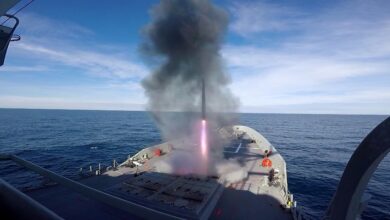 Sea Sparrow Missile