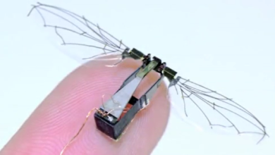 flapping-wings drone