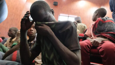 Kidnapped boys after their release in Nigeria