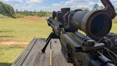 Squad Designated Marksmanship Rifle