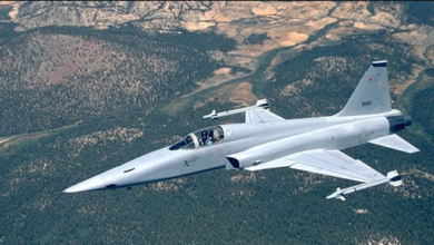 F-5 Tiger aircraft