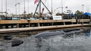 Orca