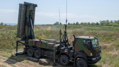 The MAMBA air defense system