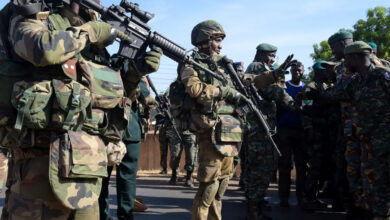 Soldiers from the Gambia greet Ecowas troops in Farafenni
