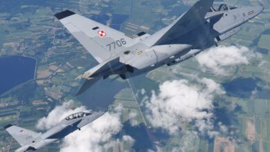 Polish Air Force's M-346 Bielik advanced trainer jets