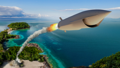 Long-Range Maneuverable Fires missile