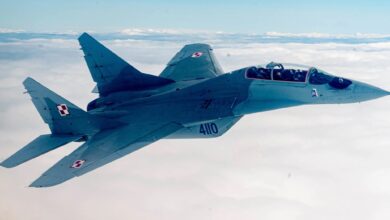 Polish MiG-29