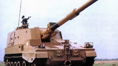 Chinese Howitzer