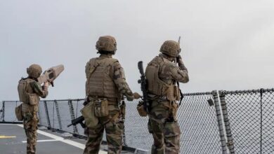 French Navy anti-drone