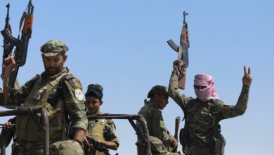 SDF fighters