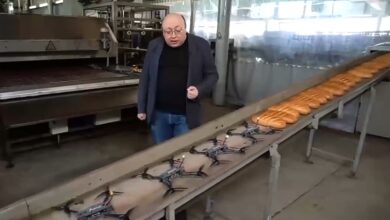 Drone bakery Russia