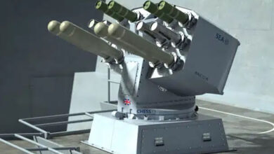 Decoy Launching System