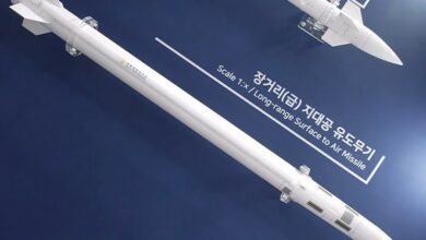 A video screenshot from Dooyeol Choi's YouTube channel displaying the model of the Long-Range Surface-to-Air Missile (L-SAM). The L-SAM model is painted white.