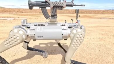 China robot dog