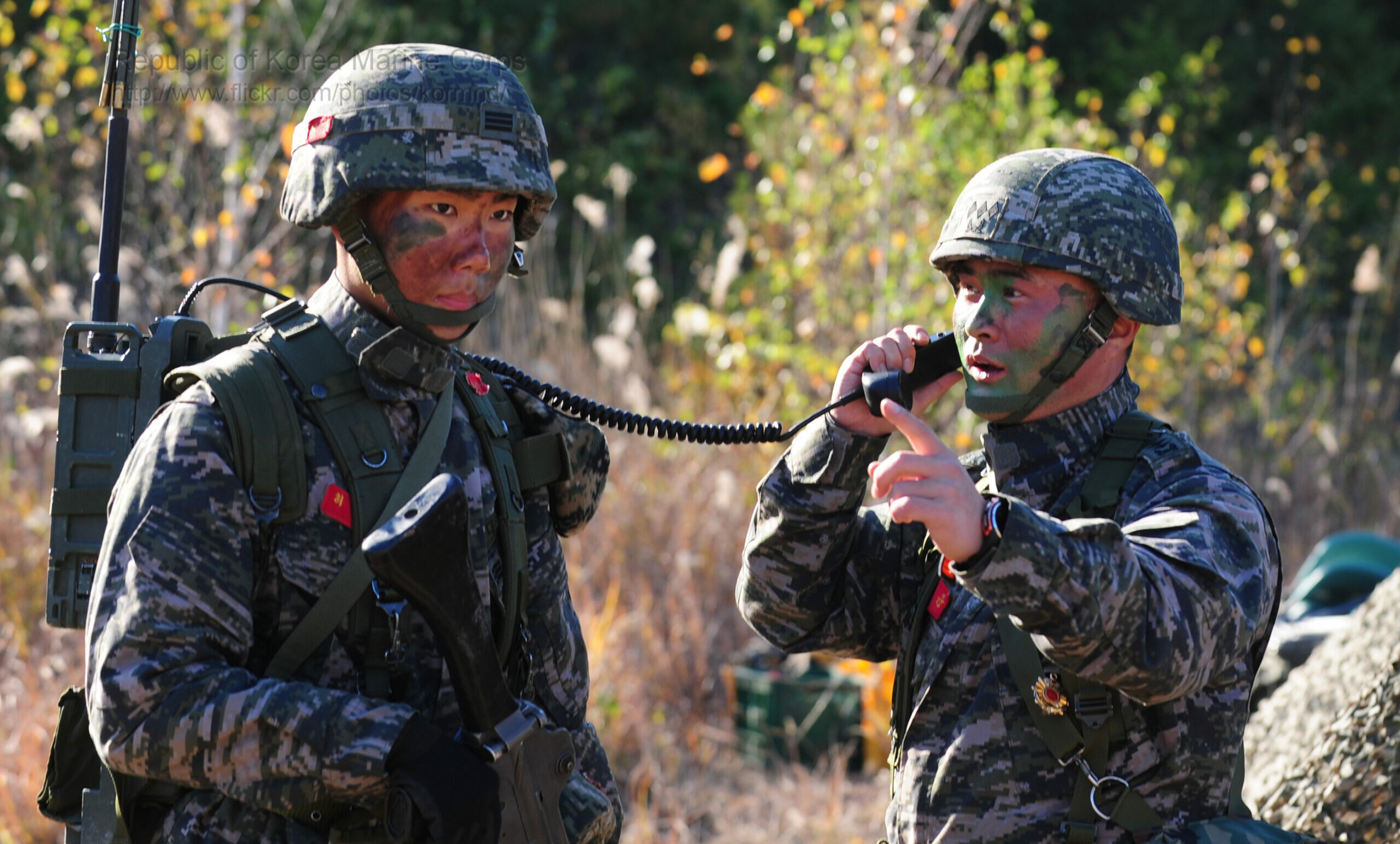 South Korean soldiers