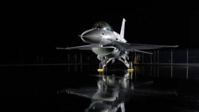 F-16 Fighting Falcon