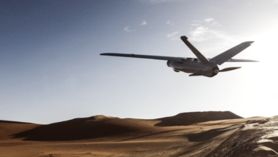 Warmate loitering munition