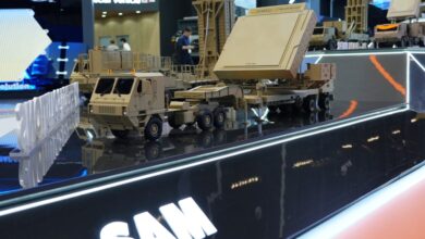 L-SAM model