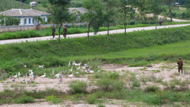 North Korean soldiers