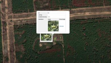 Safe Pro's AI-powered imagery analysis.