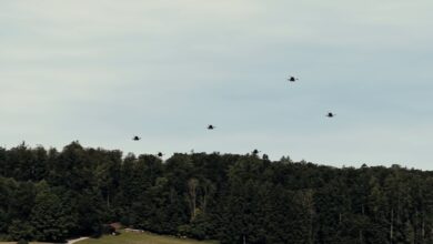 Drone swarm