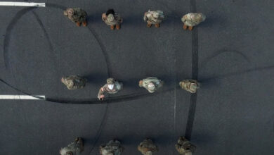 Troops in formation with one soldier wearing a mask. Photo: Staff Sgt. Ashley Sanders/US Army