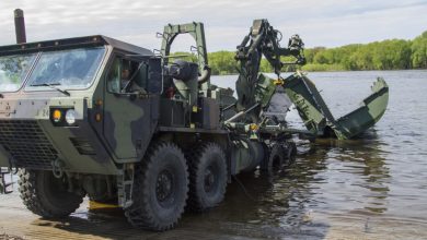 Common Bridge Transporters