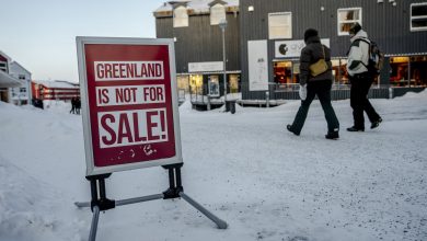 Greenland's capital Nuuk, in the spotlight following Trump's threats