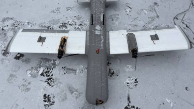 The Molniya kamikaze drone