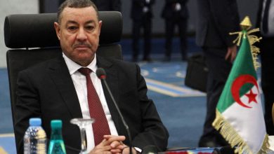 Said Sayoud, Algerian Minister of the Interior, Local Authorities, and Transport, engages in a dialogue with his counterpart, Laurent Nunez, French Minister of the Interior, in Algiers, Algeria, on February 16, 2026.