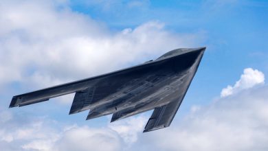 A U.S. Air Force B-2 Spirit aircraft from Whiteman Air Force Base, Mo., flies during career day at Columbus Air Force Base, Miss., on May 5, 2007. (DoD photo by Kenn Brown, U.S. Air Force. (Released))