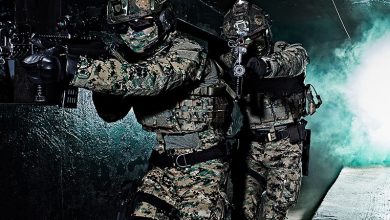 South Korean troops.
