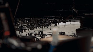 Linza tactical drones