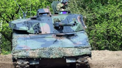 bushmaster III