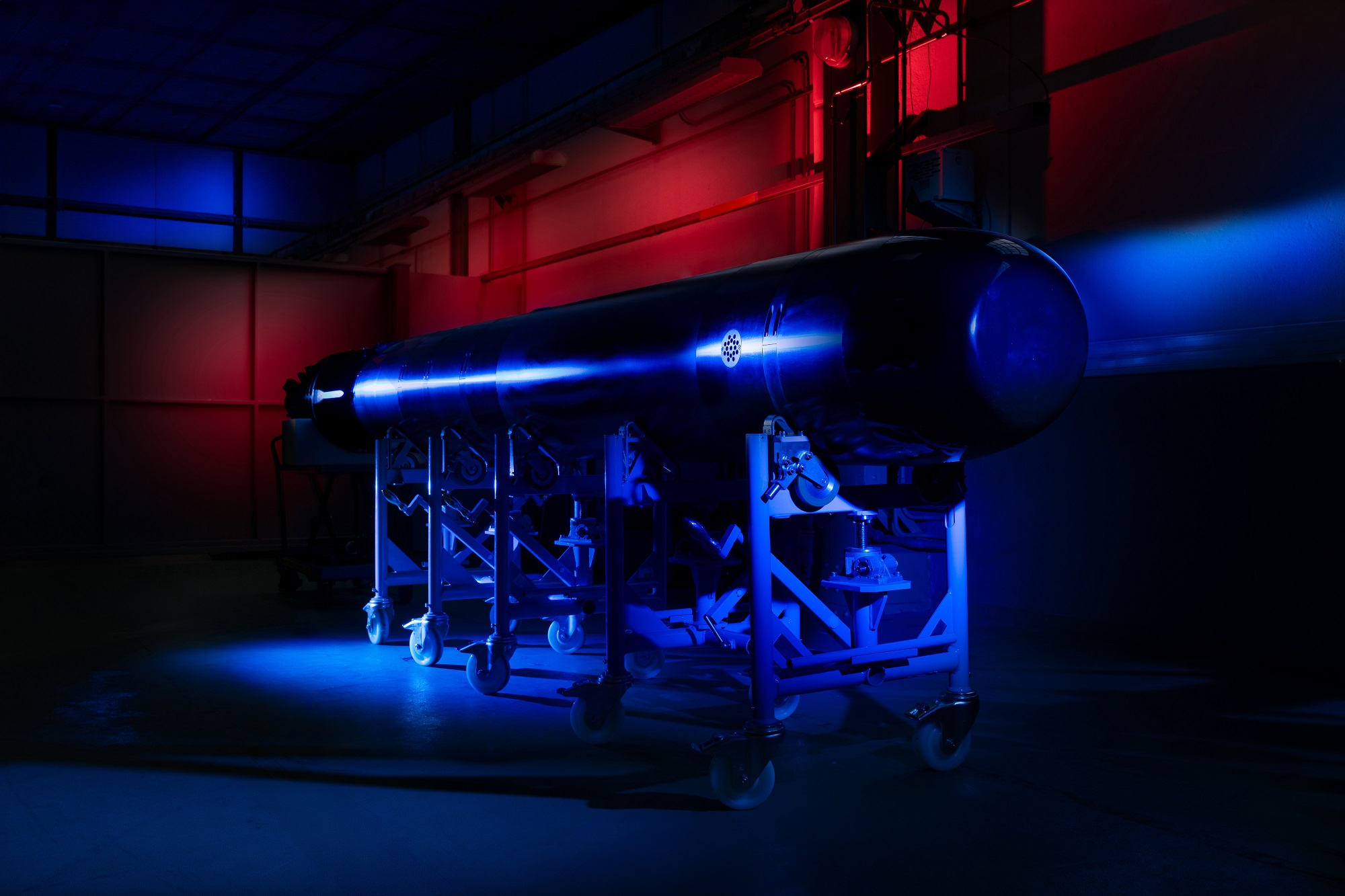 The F21 torpedo. Photo: Netherlands Ministry of Defence