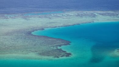 An aerial view of the Red Sea near Yanbu, Saudi Arabia, on January 17, 2026.