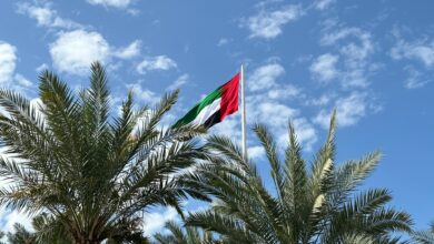 UAE flag. Photo: baierx/Unsplash