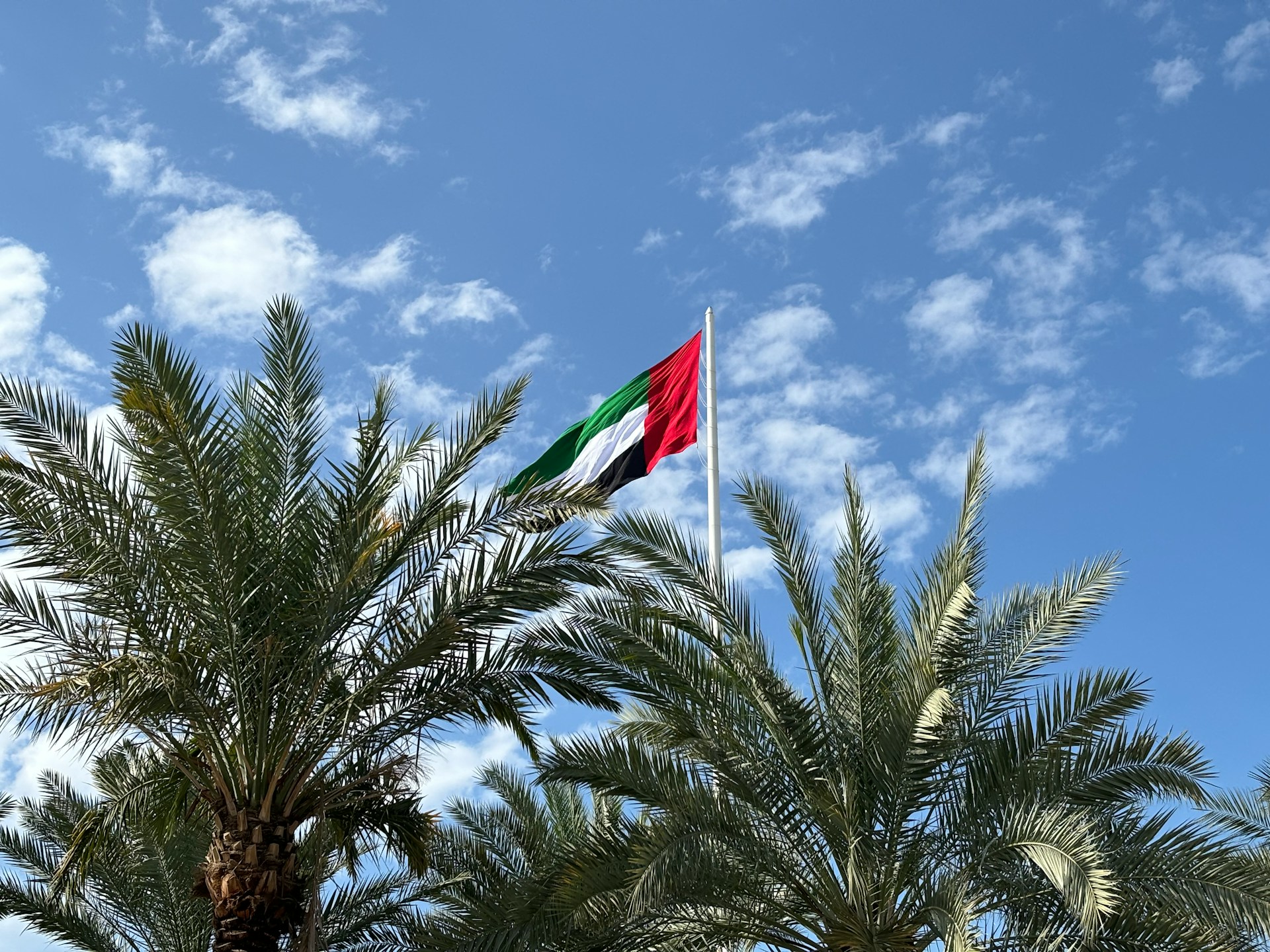 UAE flag. Photo: baierx/Unsplash